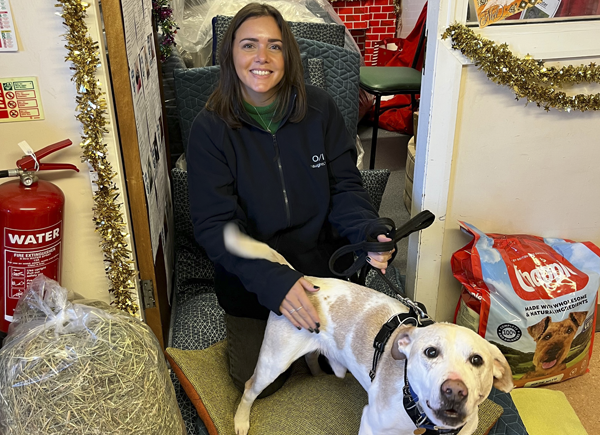 Dog bed donations for the RSPCA