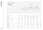 RUBY-MeasuringGuide.pdf