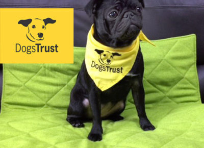 Dogs Trust update!