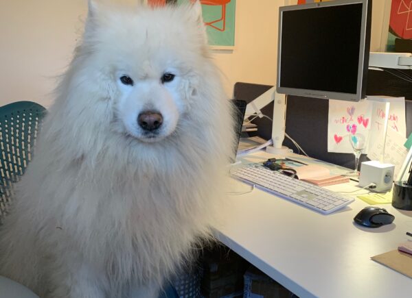 Getting the most out of working from home