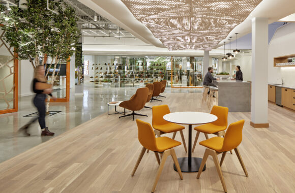 Timberland HQ